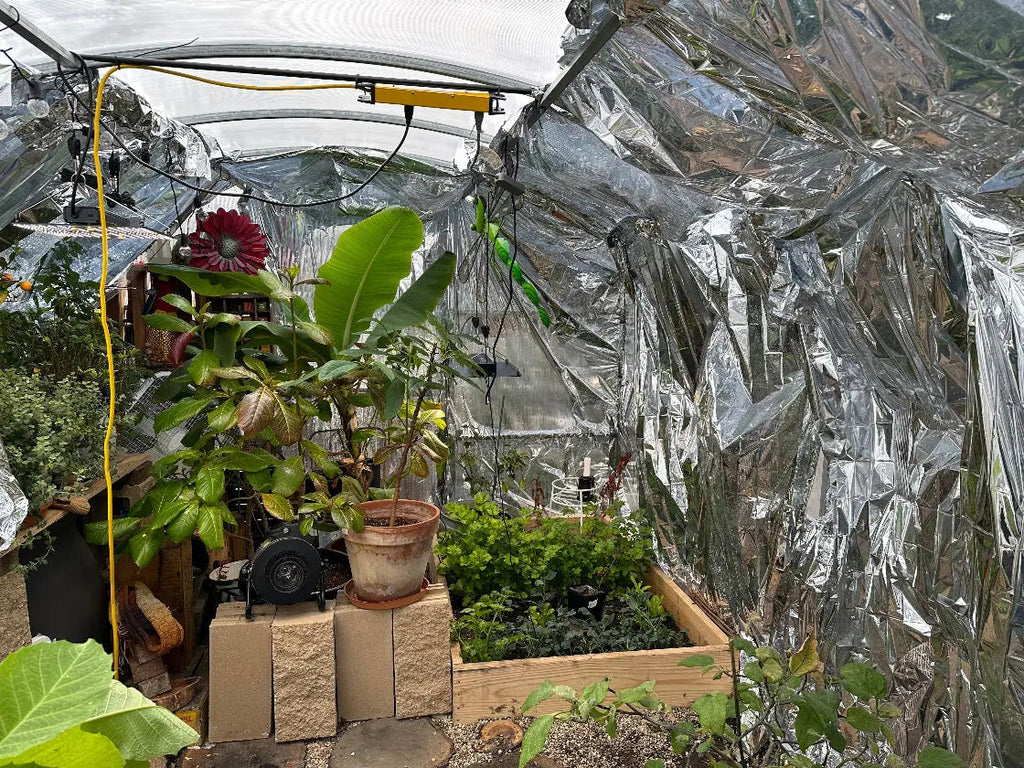 10ft Straight Wall Walk-In Polycarbonate Greenhouse Kit - Loft Series