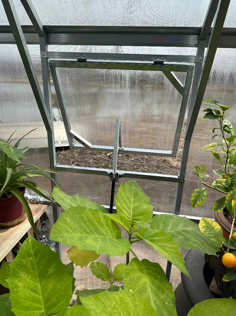 10ft Straight Wall Walk-In Polycarbonate Greenhouse Kit - Loft Series