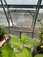 10ft Straight Wall Walk-In Polycarbonate Greenhouse Kit - Loft Series