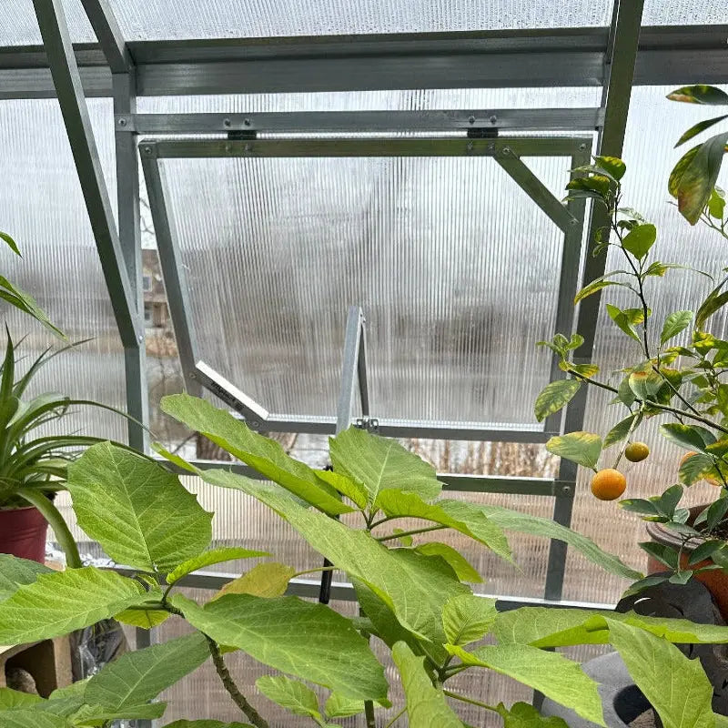 8.3ft Gable Roof Walk-In Polycarbonate Greenhouse Kit - Gable Series