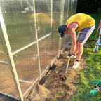8.3ft Gable Roof Walk-In Polycarbonate Greenhouse Kit - Gable Series