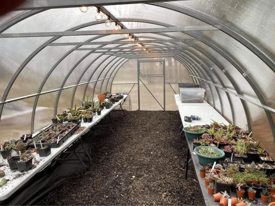 10ft Walk-In Polycarbonate Greenhouse Kit - Arc Series