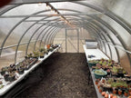 10ft Walk-In Polycarbonate Greenhouse Kit - Arc Series