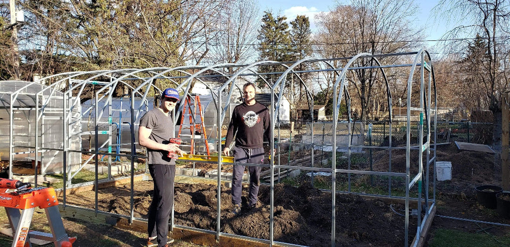 10ft Straight Wall Walk-In Polycarbonate Greenhouse Kit - Loft Series