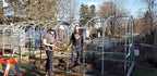 10ft Straight Wall Walk-In Polycarbonate Greenhouse Kit - Loft Series